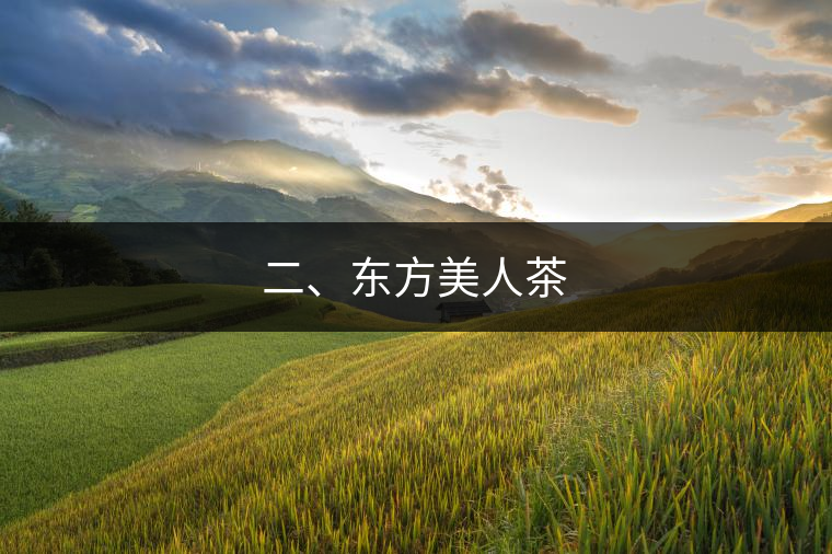 二、東方美人茶