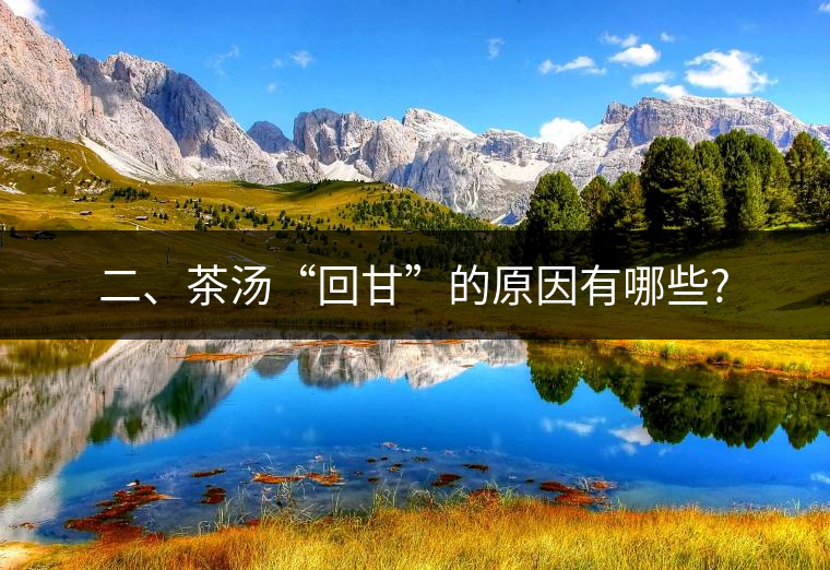 二、茶湯“回甘”的原因有哪些?