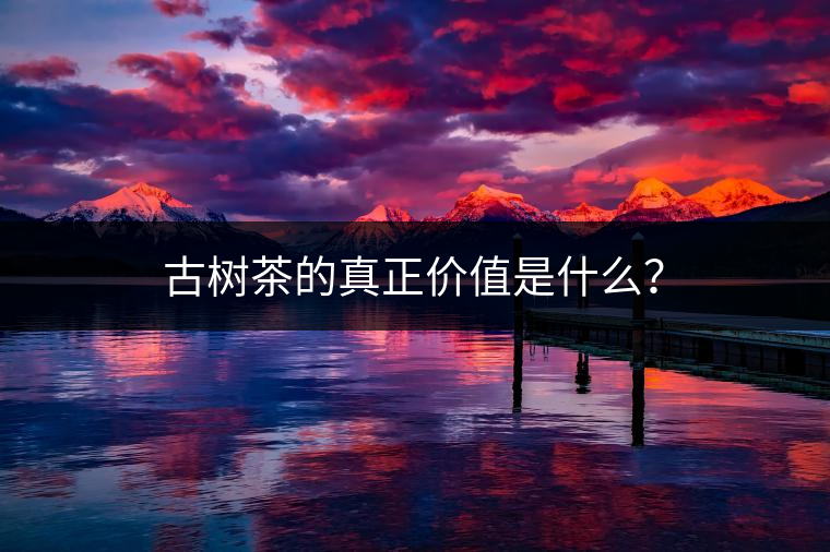 古樹茶的真正價值是什么？