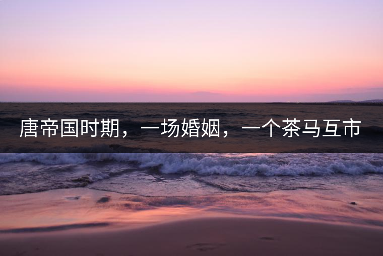 唐帝國(guó)時(shí)期，一場(chǎng)婚姻，一個(gè)茶馬互市，讓這里結(jié)束了漢藏對(duì)峙。宋代南茶北，西北茶馬司設(shè)立，因茶而改變的生活日益凸顯。元代八思巴與忽必烈在這一區(qū)域結(jié)盟，為蒙藏兩大民族交往鋪好通衢大道，明代俺答汗與達(dá)賴在山海之間追思各自先人，青海人宗喀巴創(chuàng)建的黃教通過(guò)蒙、藏兩大領(lǐng)袖的推廣，締造了影響至今的格局。大清經(jīng)過(guò)康、雍、乾三代勵(lì)精圖治，滿、藏、蒙各自龐大的疆域第一次完整地統(tǒng)轄在中央帝國(guó)的版圖下。