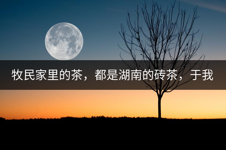 牧民家里的茶，都是湖南的磚茶，于我們而言不見(jiàn)得有多好，它們粗糙得看可見(jiàn)茶梗和樹(shù)枝，但于他們來(lái)說(shuō)，卻是每日的生活必需品。端到桌上的茶碗，也是缺了口鋦過(guò)青花瓷碗，聞得見(jiàn)修補(bǔ)后的手溫，喝下加過(guò)鹽巴的磚茶，一身暖意，融化了深藏在發(fā)底的冰屑，溫暖著身心。