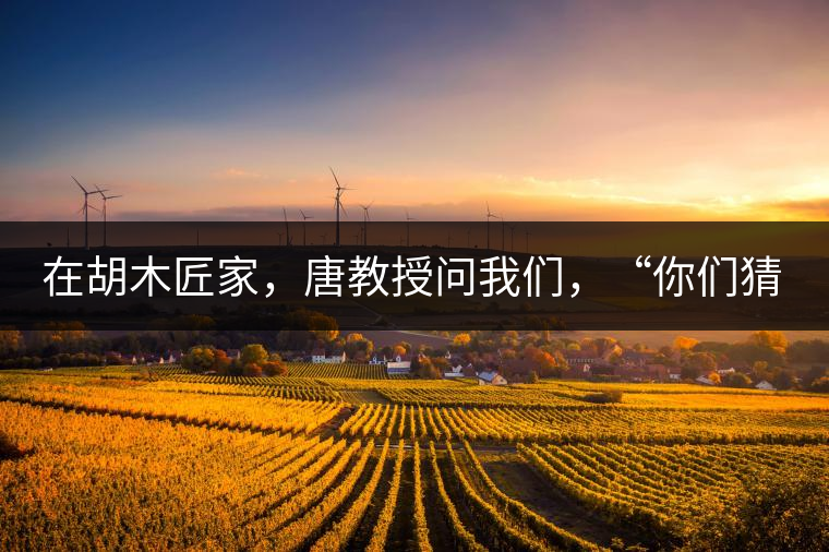 在胡木匠家，唐教授問(wèn)我們，“你們猜猜他們家的茶放在哪里？”我們回答廚房、客廳都不對(duì)，“難道像寺院一樣，有專(zhuān)門(mén)的茶房不成？”教授和木匠都哈哈大笑，連連搖頭。在木匠的帶領(lǐng)下，我們來(lái)到主人的臥室，茶磚整齊有序地堆放在床頭柜里。一家之主的臥室，既是休息之所，亦是一家財(cái)富與傳家寶的收藏地。茶之精貴，毋需多言。