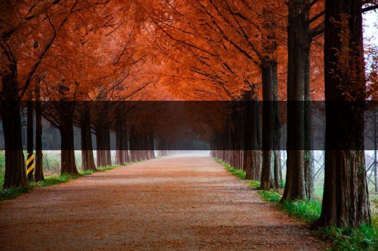 這樣的茶葉邊疆文化，也許是明代大學(xué)者解縉最樂(lè)意見(jiàn)到的。他曾說(shuō)，中原最好的東西就是茶，而番人最好的就是馬。他贊同明廷茶馬互市的國(guó)策：茶之于夷人，如同中國(guó)之酒醴，因?yàn)椴桉R貿(mào)易，許多夷人也開(kāi)始學(xué)習(xí)中國(guó)的知識(shí)，對(duì)中國(guó)也有了向慕之心，那么茶的作用就很顯然，茶有著“夷夏之交，義利之辨，寅賓尚忠信而篤敬，河州固唐虞三代之邦也?！?茶不僅僅是一種飲品，還有其他。茶作為媒介，體現(xiàn)了觀念的變化。如今，隨著茶的傳播，各族人民有了更深入往來(lái)，通過(guò)貿(mào)易、文化、旅游等等。
陳渠珍從西藏抵達(dá)湟源區(qū)域時(shí)，也為這里的古風(fēng)所震驚：“余皆漢番雜處。風(fēng)俗婦女尚餞足，裙下蓮步不及三寸，服飾既古，文化尤卑，鄰居為私塾，當(dāng)見(jiàn)一生久讀不能成誦，塾師罰之跪，以草圈罩頭上，頻加籌石，令其跪誦。余見(jiàn)駭然。”

?
（摘自《海峽茶道》，2013年5期）