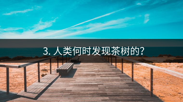 ? 3. 人類何時發(fā)現(xiàn)茶樹的？