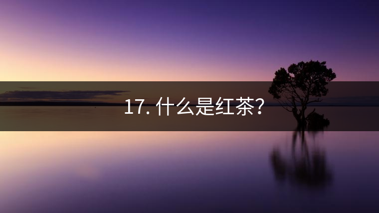 ? 17. 什么是紅茶？