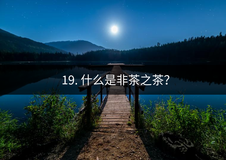 ? 19. 什么是非茶之茶？