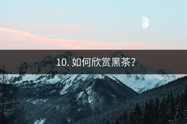 ? 10. 如何欣賞黑茶？