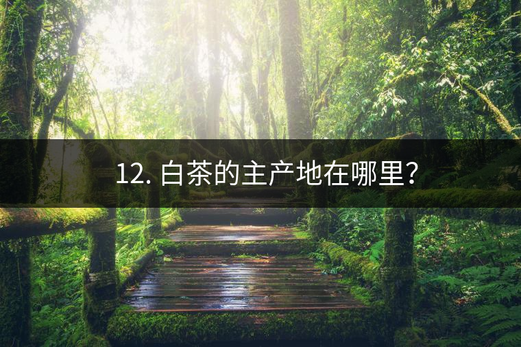 ? 12. 白茶的主產地在哪里？