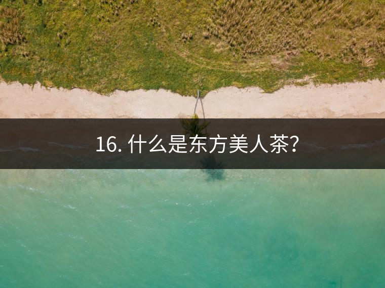 ? 16. 什么是東方美人茶？