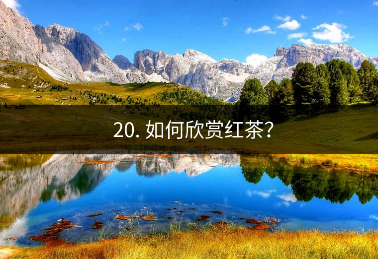 ? 20. 如何欣賞紅茶？
