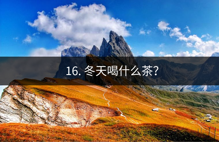 ? 16. 冬天喝什么茶？