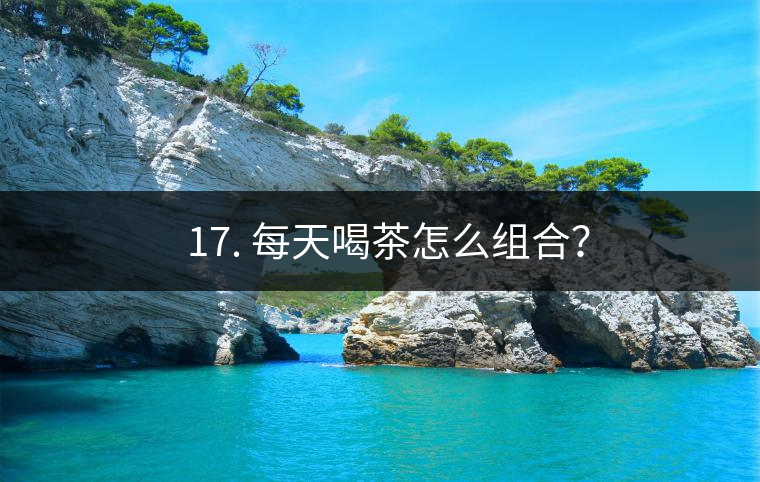 ? 17. 每天喝茶怎么組合？