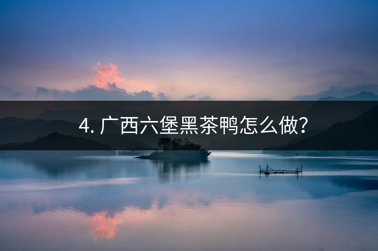 ? 4. 廣西六堡黑茶鴨怎么做？