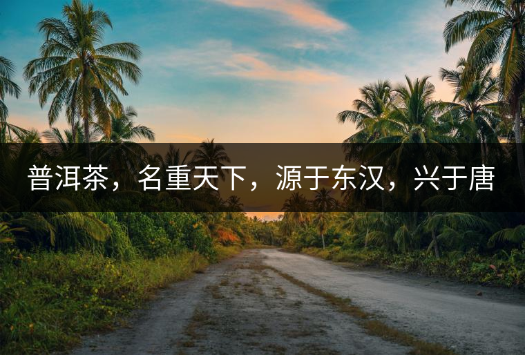 普洱茶，名重天下，源于東漢，興于唐宋，盛于明清。