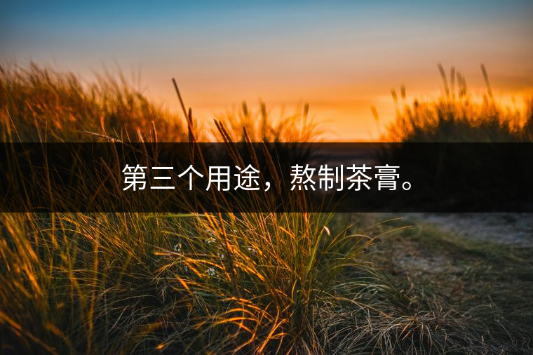 第三個(gè)用途，熬制茶膏。