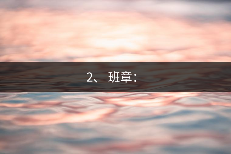 2、 班章：?