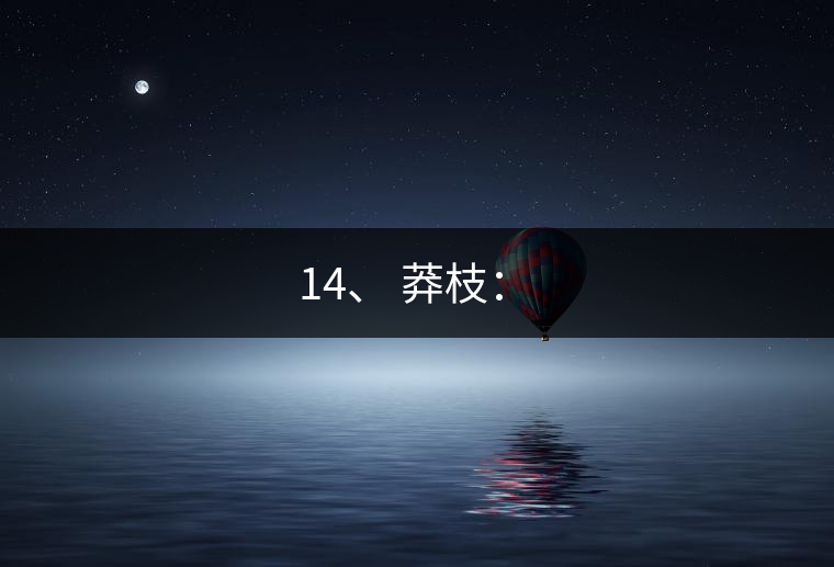 14、 莽枝：?
