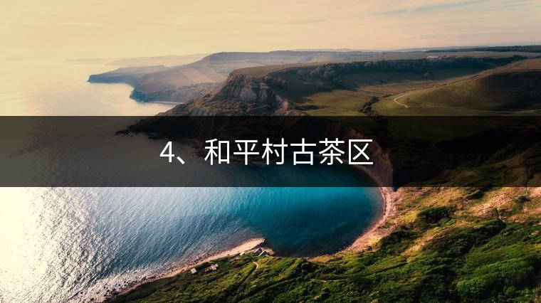 4、和平村古茶區(qū) ?