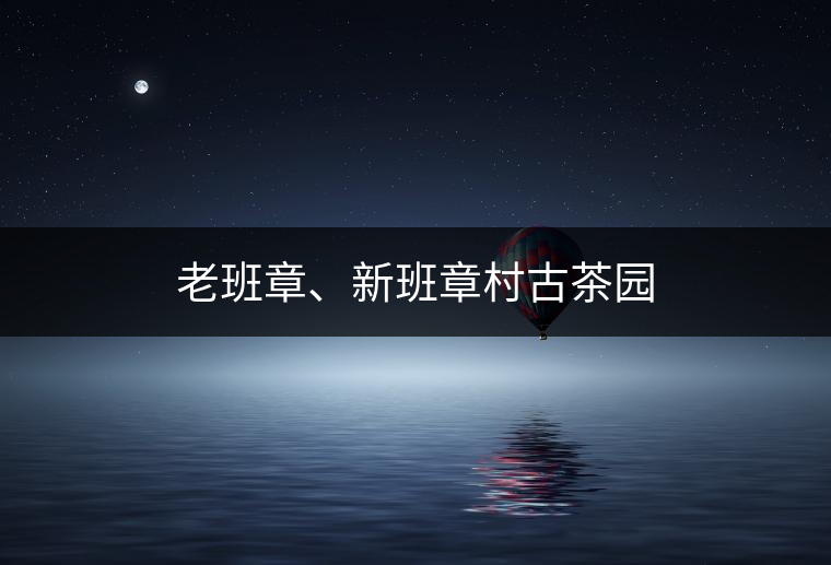 老班章、新班章村古茶園