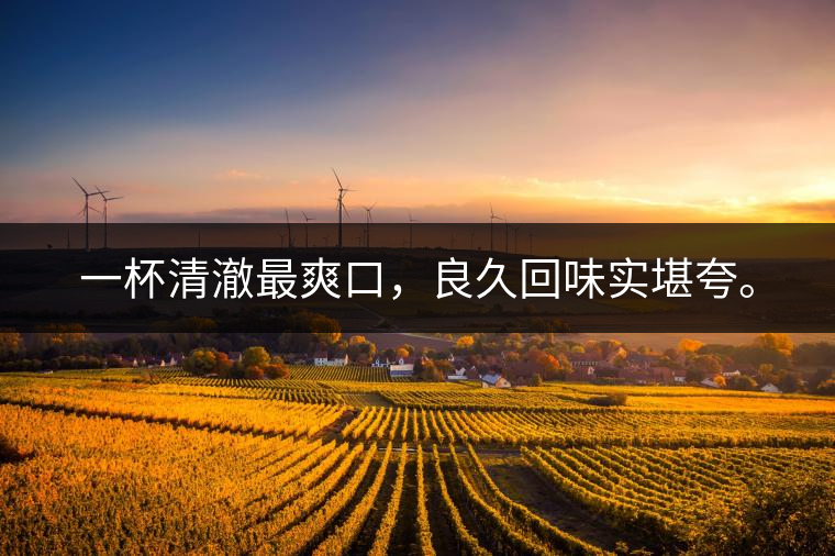 若能一日車船至，從此美名滿天涯。