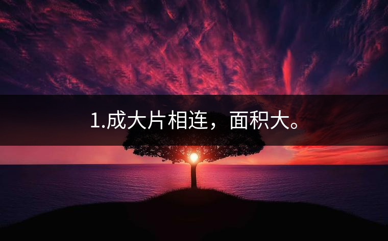 1.成大片相連，面積大。