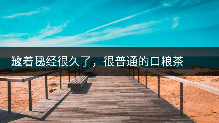 這一塊
放著已經(jīng)很久了，很普通的口糧茶，煙味很重，但回甘也可以，隨意喝喝吧。