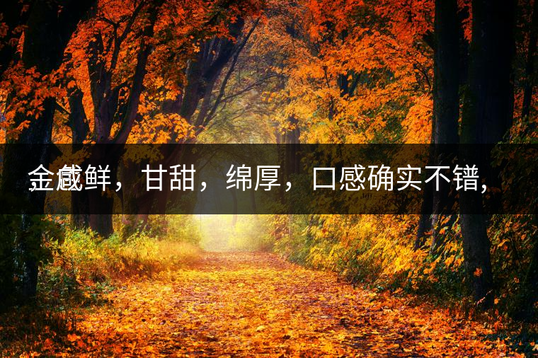 金色
，咸鮮，甘甜，綿厚，口感確實(shí)不鐠,還有上升空間。