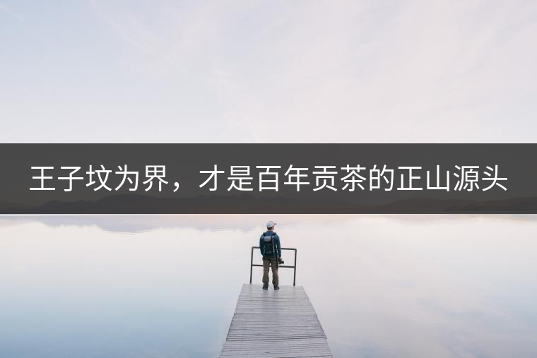 王子墳為界，才是百年貢茶的正山源頭