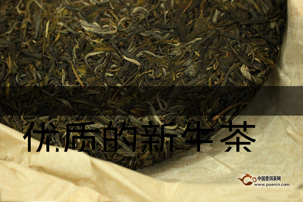 優(yōu)質(zhì)的新生茶是什么樣的？