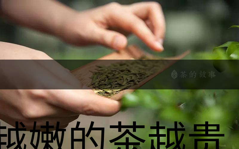 越嫩的茶越貴，但越貴的茶就越好嗎？