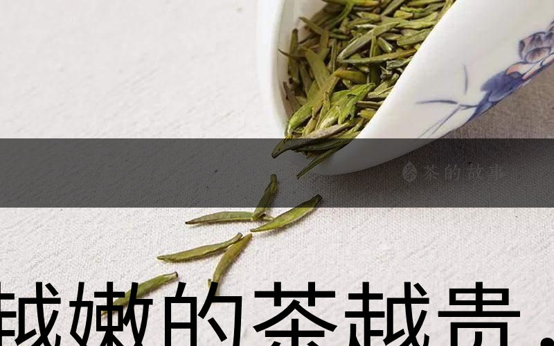 越嫩的茶越貴，但越貴的茶就越好嗎？-1