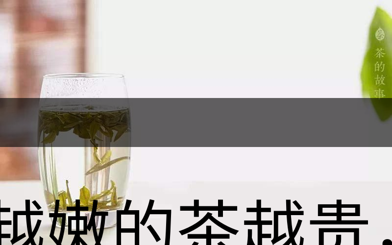 越嫩的茶越貴，但越貴的茶就越好嗎？-2