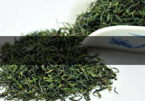 毛尖是熱性還是涼性-不適合什么人喝