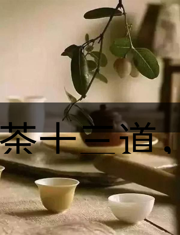 喝茶十三道，道道皆精華！-2