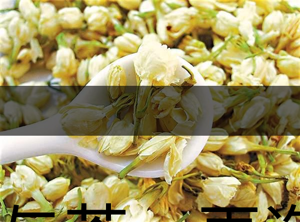 花與茶，再造茉莉之都——福州-1