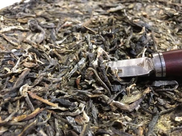 怎么樣泡好落水洞普洱茶？