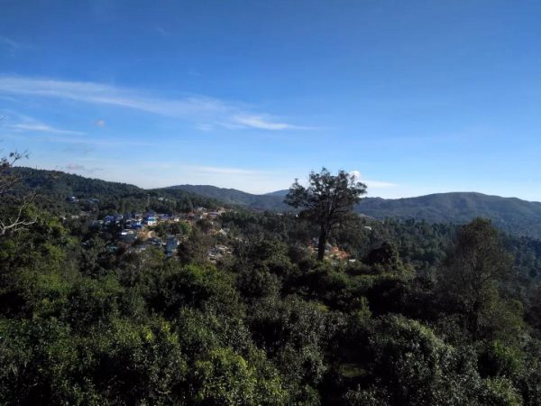 蘭香賀開(kāi),甘甜賀開(kāi)