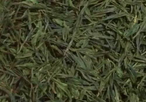 什么是海青茶？沖泡手法詳細(xì)教學(xué)！