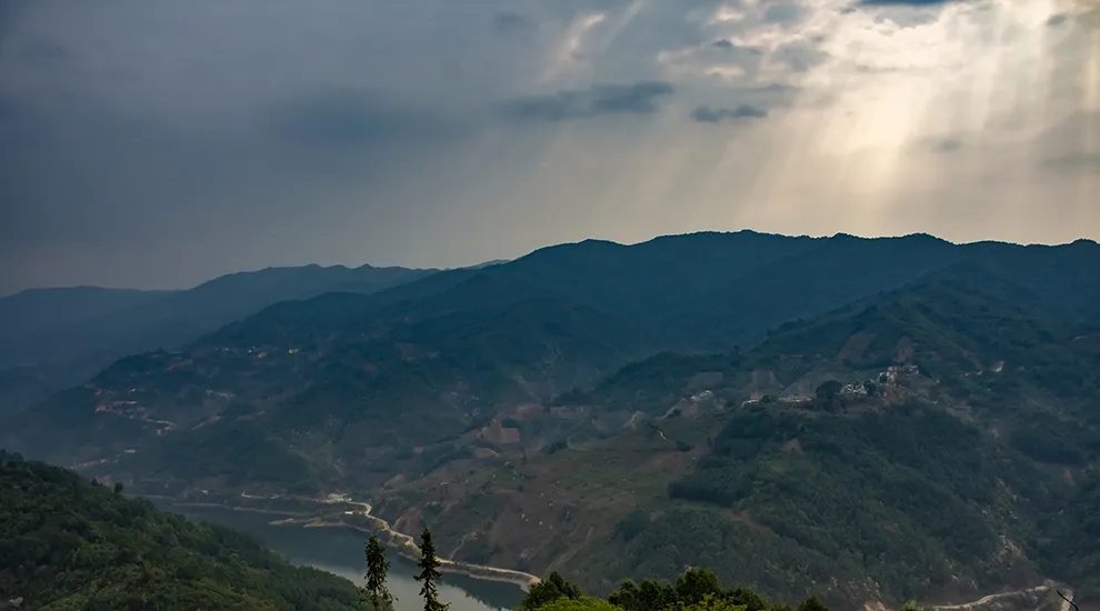 2021年磨烈：風(fēng)頭正勁的后起之秀，到底有何特點(diǎn)？