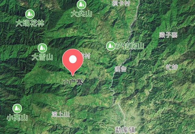 2021年小戶賽古樹秋茶有什么特點(diǎn)？