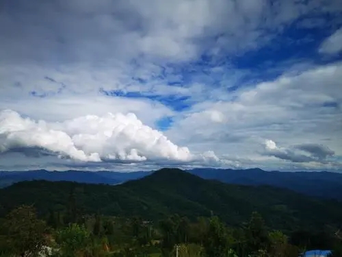 2021年那罕古樹秋茶口感？