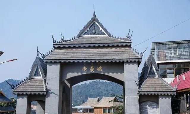 2021年老曼峨古樹秋茶特點？