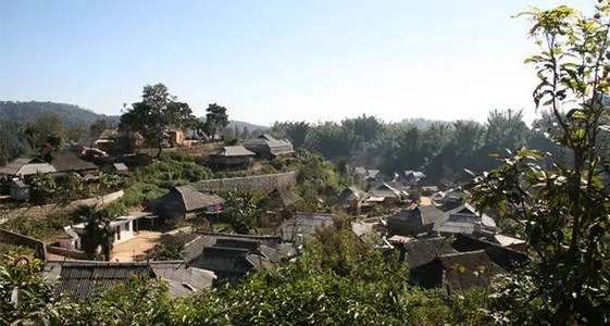 2021年班章茶區(qū)壩卡竜古樹秋茶多少錢一公斤？