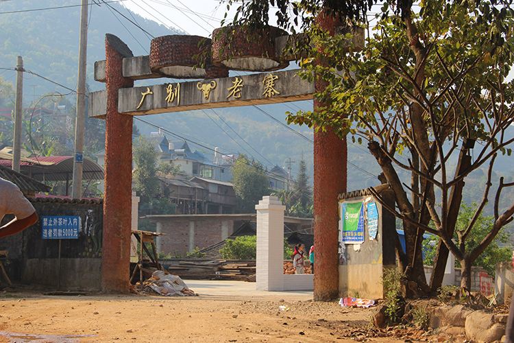 2021年廣別老寨古樹秋茶口感？