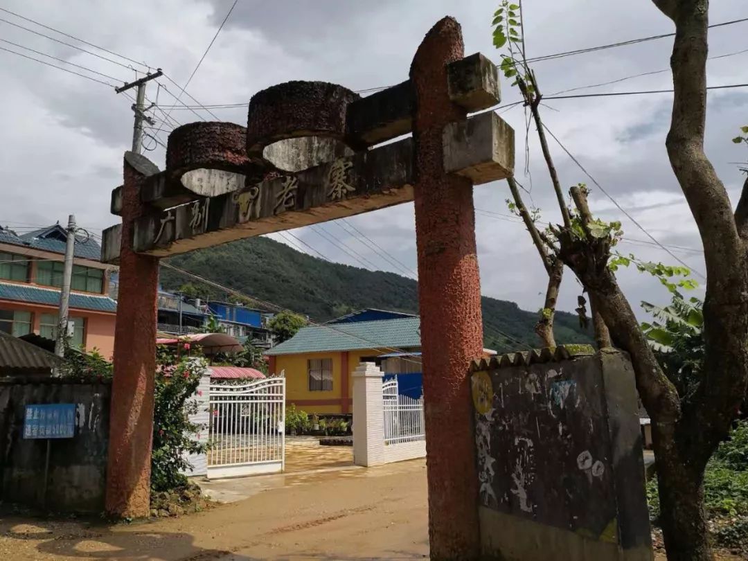 2021年廣別老寨古樹秋茶多少錢一公斤？