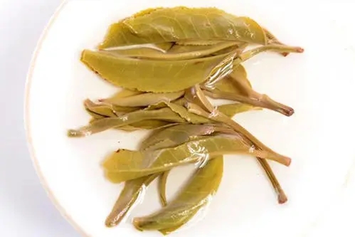 2021年南糯山拔瑪老寨古樹(shù)秋茶多少錢(qián)一公斤？