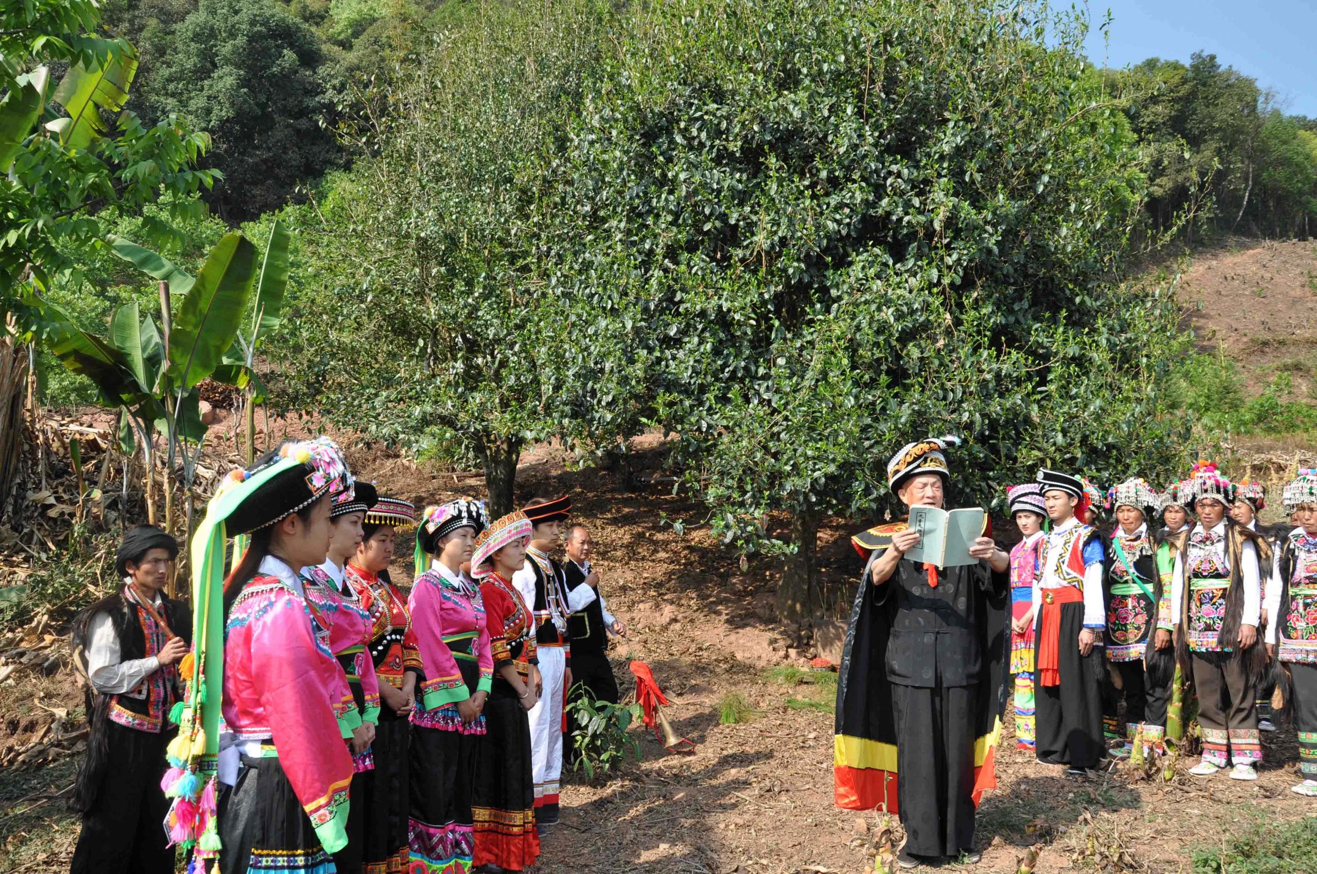 2022年景東御筆古樹春茶多少錢一公斤？