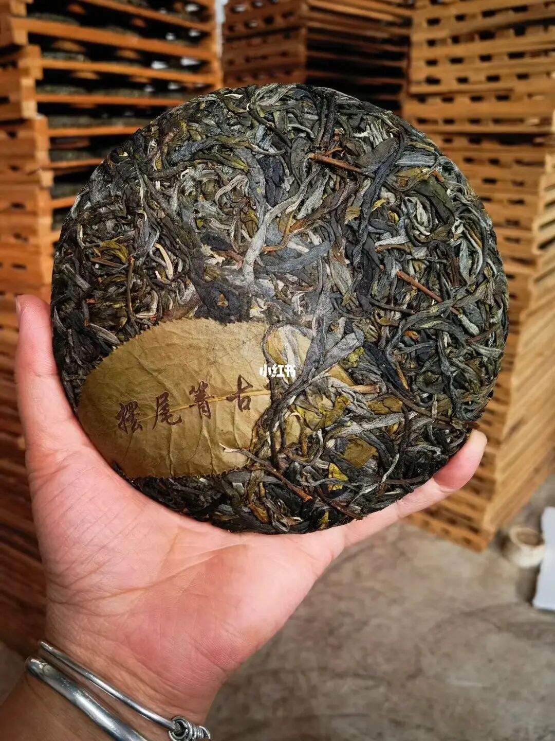 2022年寧洱 擺尾箐古樹春茶價(jià)格？