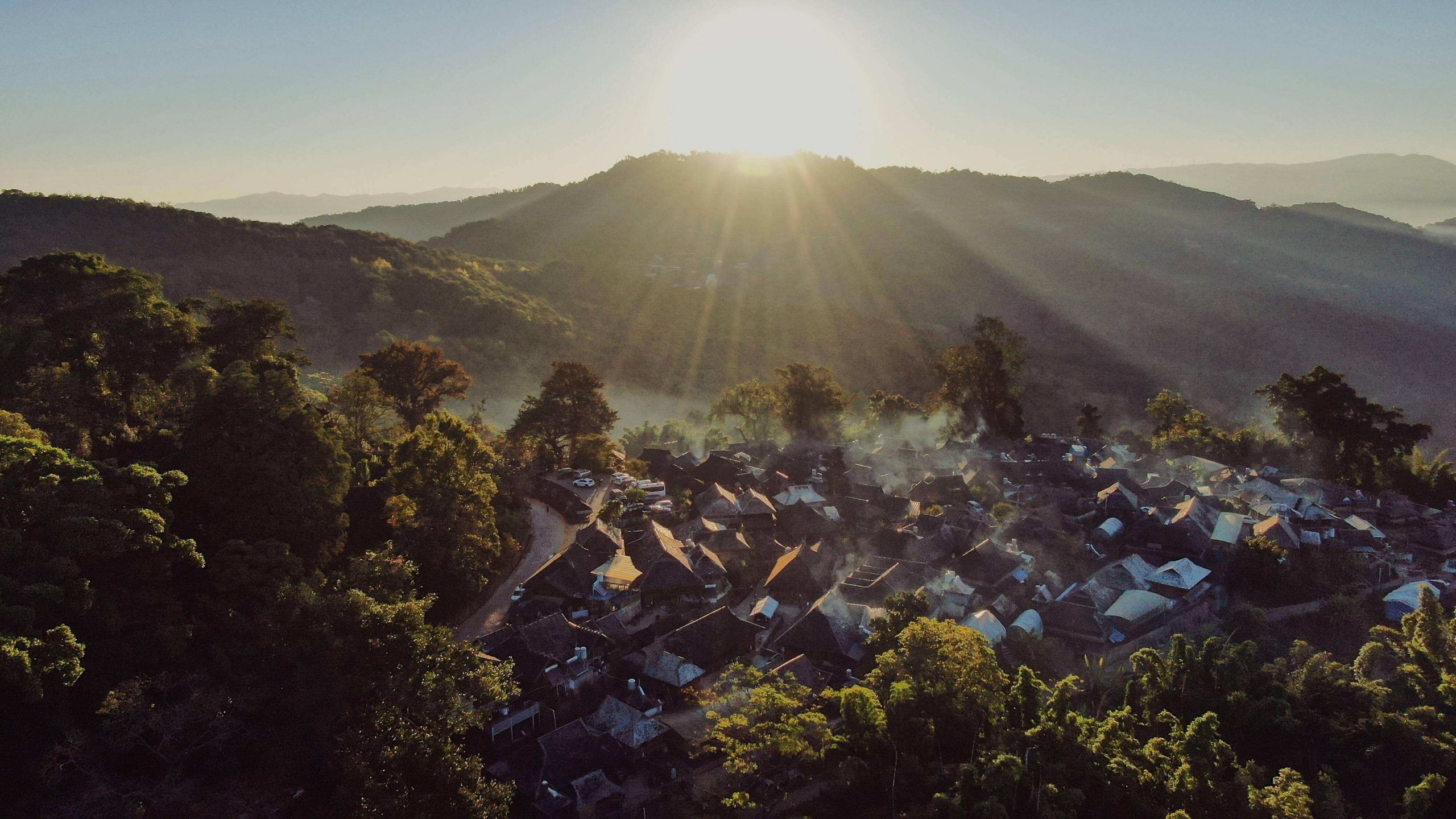 2022年景邁山古樹春茶特點(diǎn)？