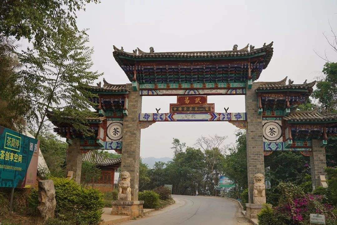 2022年易武正山古樹春茶特點(diǎn)？